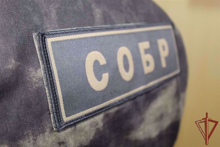 Сотрудники СОБР Росгвардии задержали вооруженных грабителей