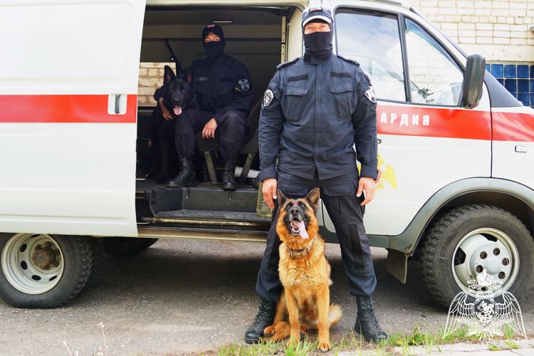 В Международный день собак костромские бойцы рассказали о своих питомцах