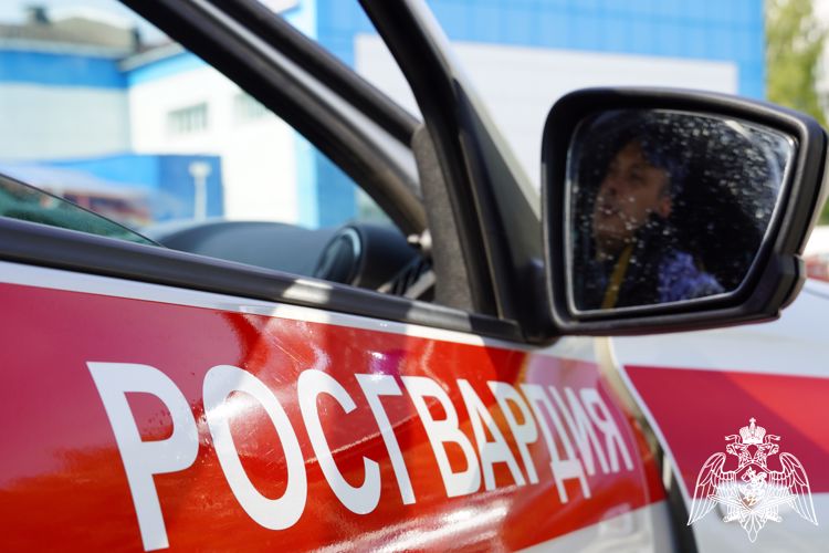 26 правонарушений пресекли сотрудники вневедомственной охраны Росгвардии за прошедшую неделю в Костромской области