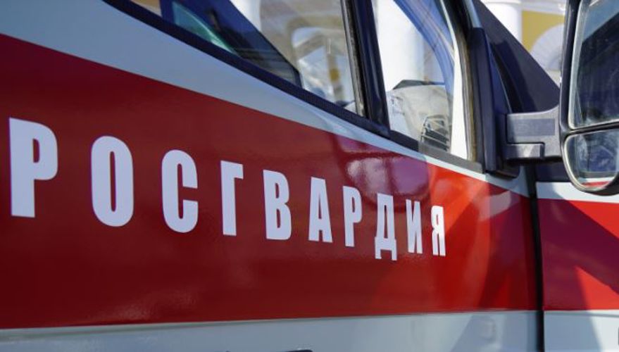 Более 40 правонарушений пресечено сотрудниками Росгвардии за минувшую неделю