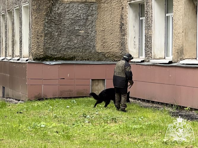 Сотрудники Росгвардии приняли участие в антитеррористических учениях 