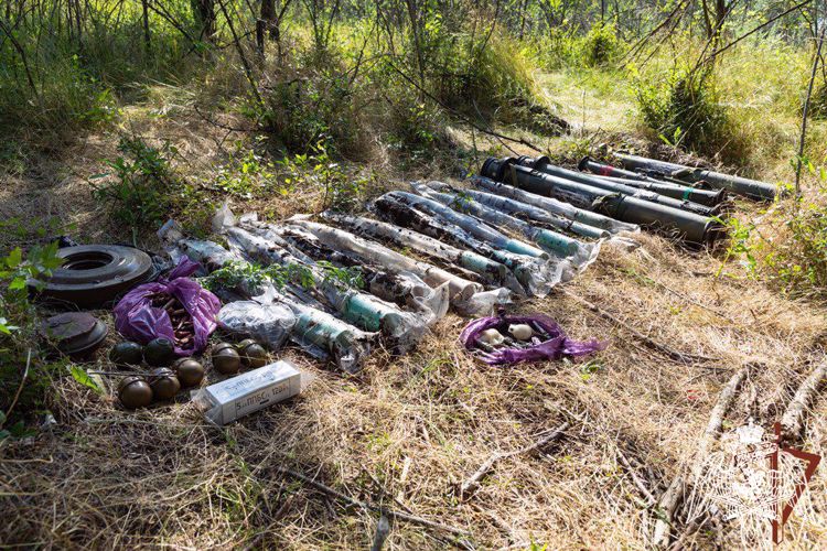Росгвардейцы обнаружили тайник с боеприпасами в лесном массиве в ЛНР
