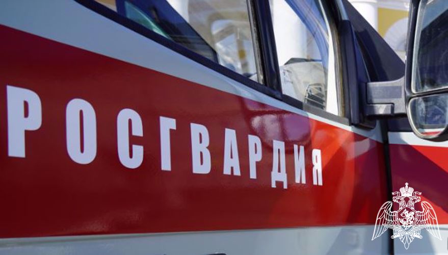 В Костроме сотрудники Росгвардии задержали мужчину, подозреваемого в нанесении гражданину ножевого ранения