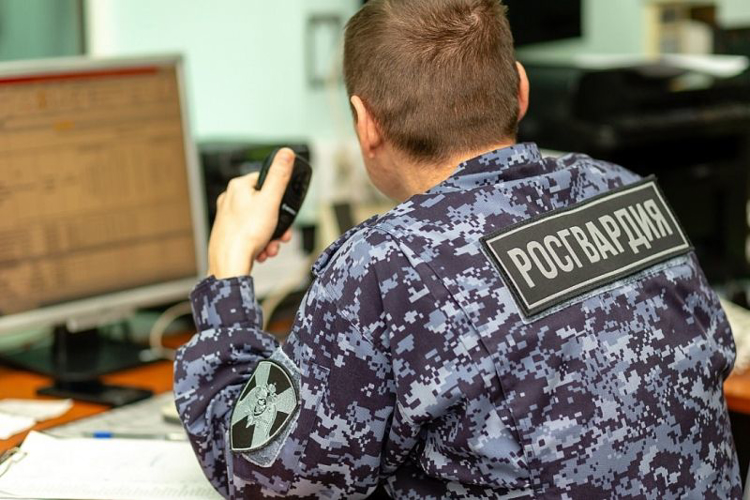 Сотрудники Росгвардии задержали молодого человека за кражу 24 шоколадных батончиков в Костроме