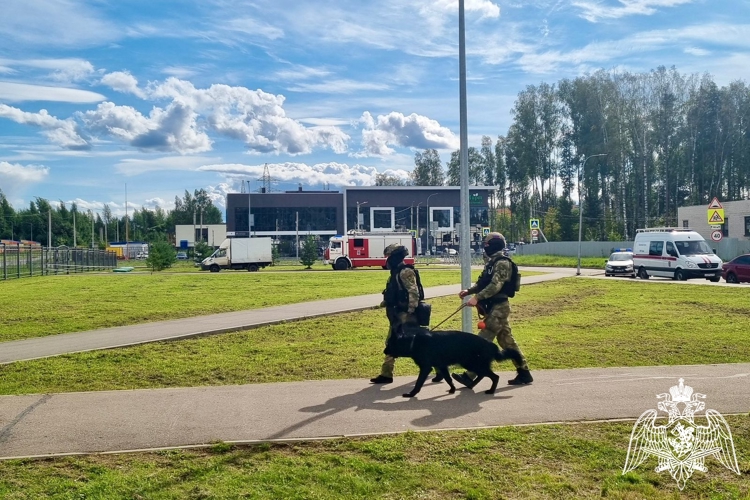 В Костроме сотрудники Росгвардии принимают участие во всероссийских межведомственных учениях на объектах образования