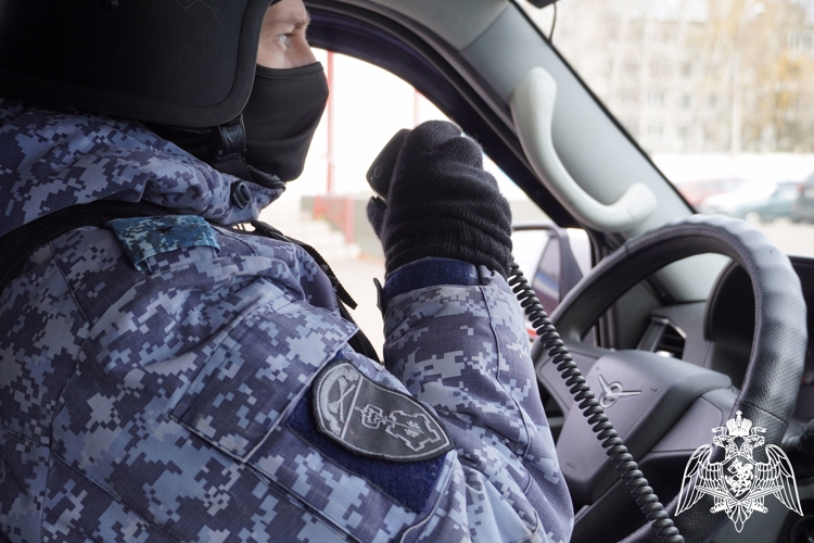 2 подозреваемых в совершении преступлений задержали сотрудники вневедомственной охраны Росгвардии в Костроме