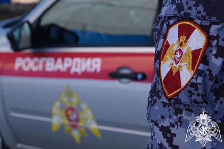 8 правонарушений пресекли сотрудники вневедомственной охраны Росгвардии за последнюю неделю в Костроме