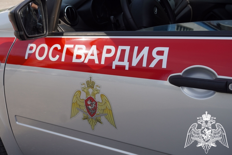 14 правонарушений пресекли сотрудники вневедомственной охраны Росгвардии за последнюю неделю в Костроме
