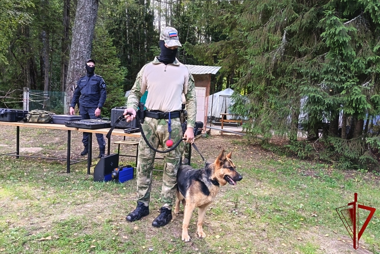 В Костромской области продолжается проведение акции «Каникулы с Росгвардией»