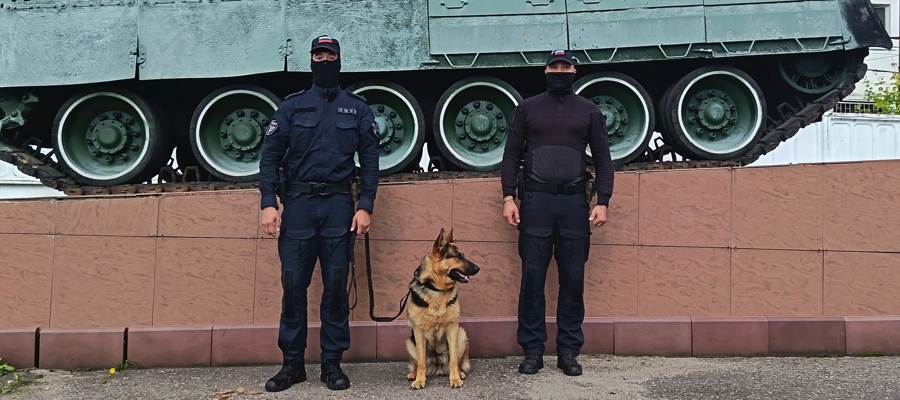 Четвероногие помощники совместно с костромскими росгвардейцами несут службу по обеспечению безопасности граждан