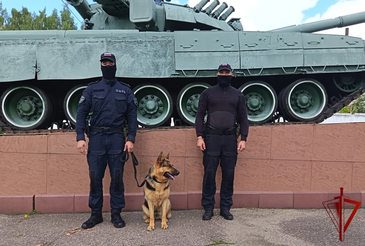 Четвероногие помощники совместно с костромскими росгвардейцами несут службу по обеспечению безопасности граждан